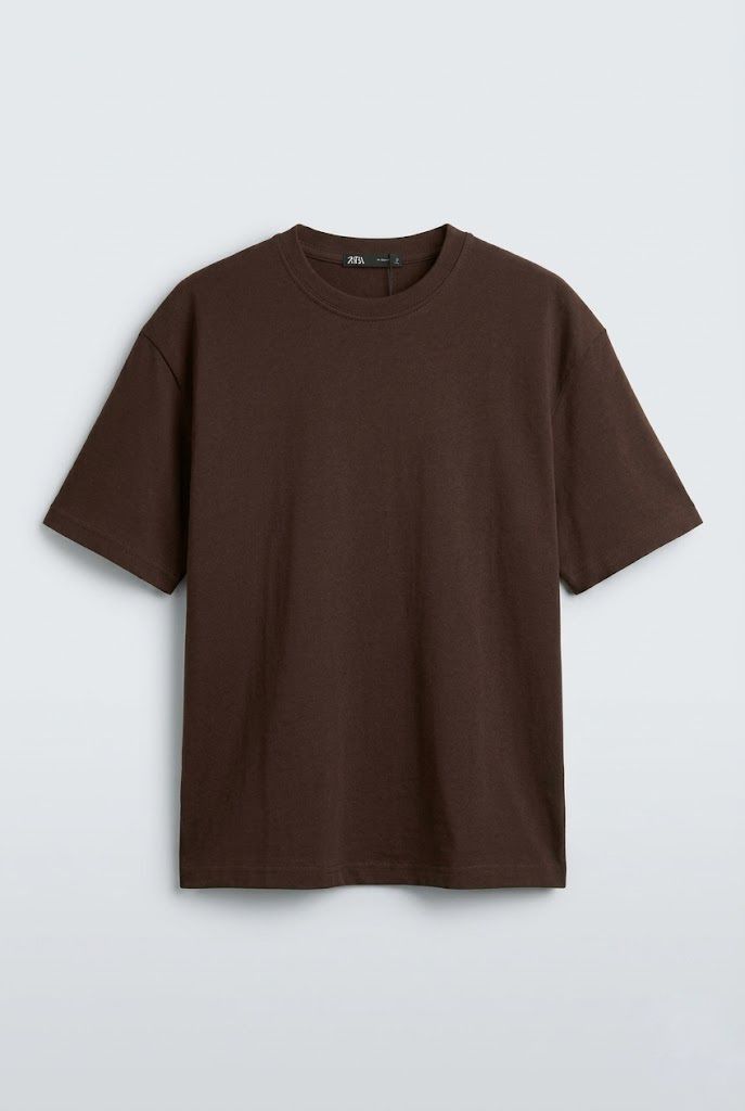 Brown Zara T-shirt