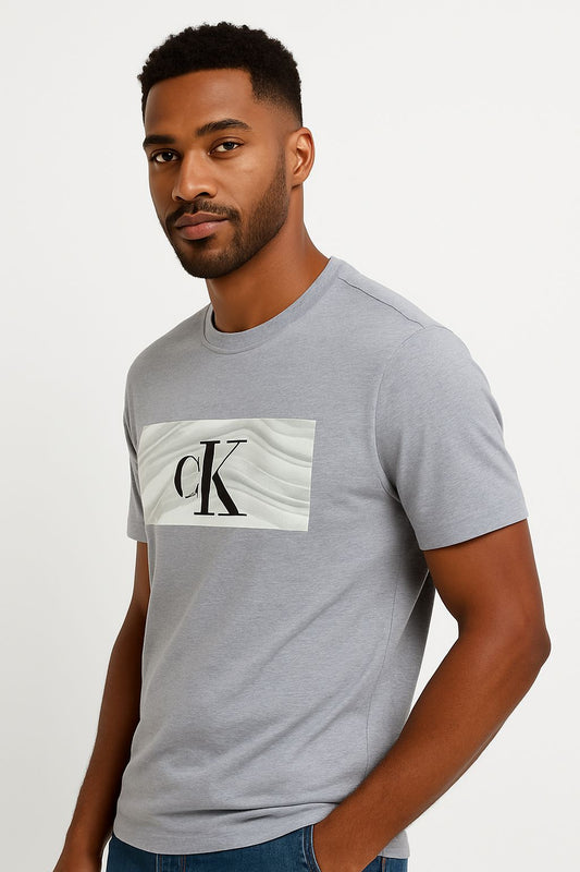 Calvin Klein Gray T_Shirt